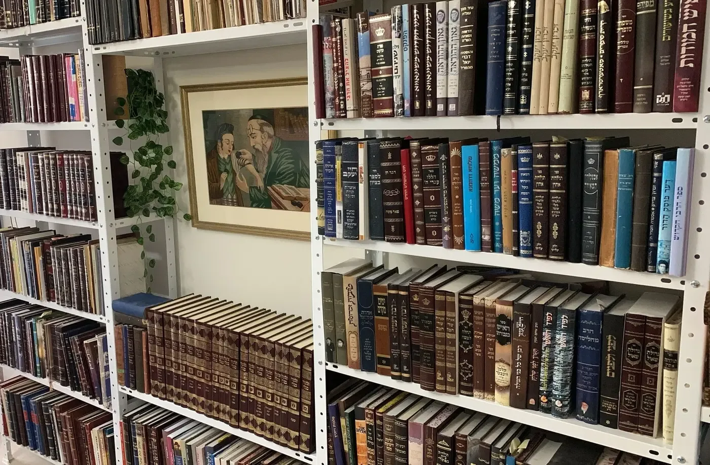 מדפים לספרים בבית – פתרון חזק ועמיד לאורך שנים